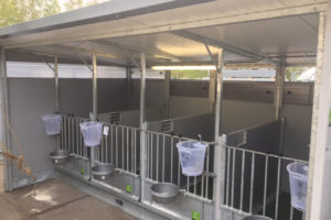 temmink agro kalverbox quatro
